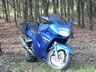 Danmark Blackbird-Tr�f 2004