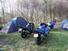 Danmark Blackbird-Tr�f 2004