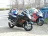 Danmark Blackbird-Tr�f 2004