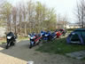 Danmark Blackbird-Tr�f 2004