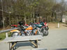 Danmark Blackbird-Tr�f 2004
