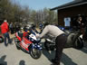 Danmark Blackbird-Tr�f 2004