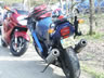 Danmark Blackbird-Tr�f 2004