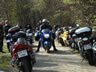 Danmark Blackbird-Tr�f 2004