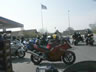 Danmark Blackbird-Tr�f 2004