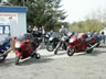 Danmark Blackbird-Tr�f 2004