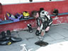Danmark Blackbird-Tr�f 2004