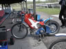 Danmark Blackbird-Tr�f 2004