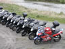 Danmark Blackbird-Tr�f 2004