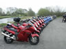 Danmark Blackbird-Tr�f 2004
