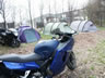 Danmark Blackbird-Tr�f 2004