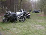 Danmark Blackbird-Tr�f 2004