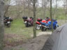 Danmark Blackbird-Tr�f 2004