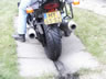Danmark Blackbird-Tr�f 2004