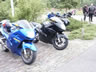 NL BOC Blackbird Meeting 2004