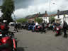UK B.I.R.D. Blackbird BAsh 2003