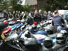 UK B.I.R.D. Blackbird BAsh 2003