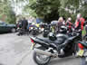 UK B.I.R.D. Blackbird BAsh 2003