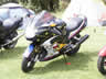 UK B.I.R.D. Blackbird BAsh 2003