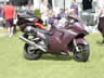 UK B.I.R.D. Blackbird BAsh 2003