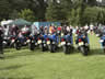 UK B.I.R.D. Blackbird BAsh 2003
