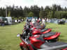 UK B.I.R.D. Blackbird BAsh 2003