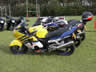 UK B.I.R.D. Blackbird BAsh 2003