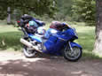 UK Blackbird Bash 2002