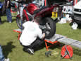UK Blackbird Bash 2002