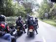 UK Blackbird Bash 2002